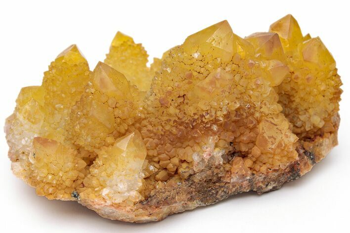 Sunshine Cactus Quartz Crystal Cluster - South Africa #217971